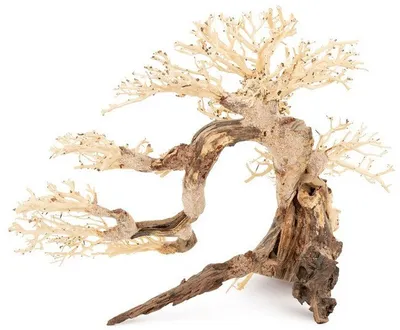 Dekor bimë artificiale Norimpex Tonice Bonsai No. 63, 80x50 cm, e gjelbër - 2
