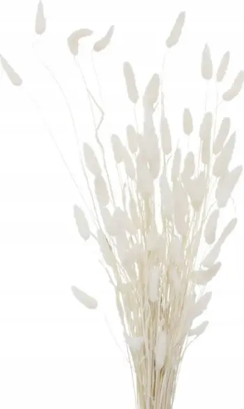 Dekor degë të thata Boltze, 70 cm, e bardhë