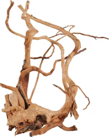 Dekor druri për akuarium Zolux Japanese Spider Wood, 40-50 cm, natyral
