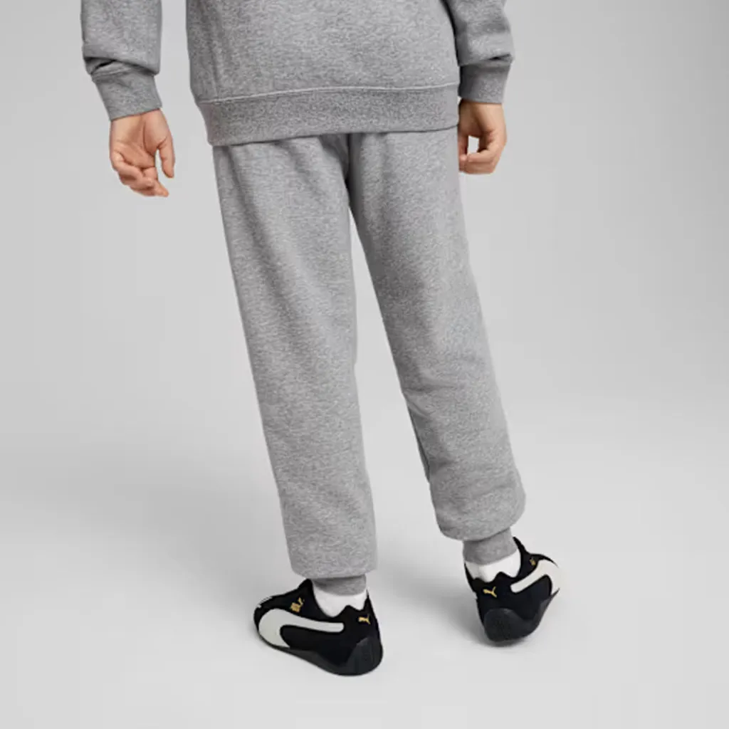 Pamja 3