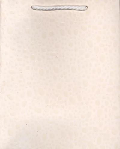 Qese dhuratash MIX, 23x18x10cm, shumëngjyrëshe - 2
