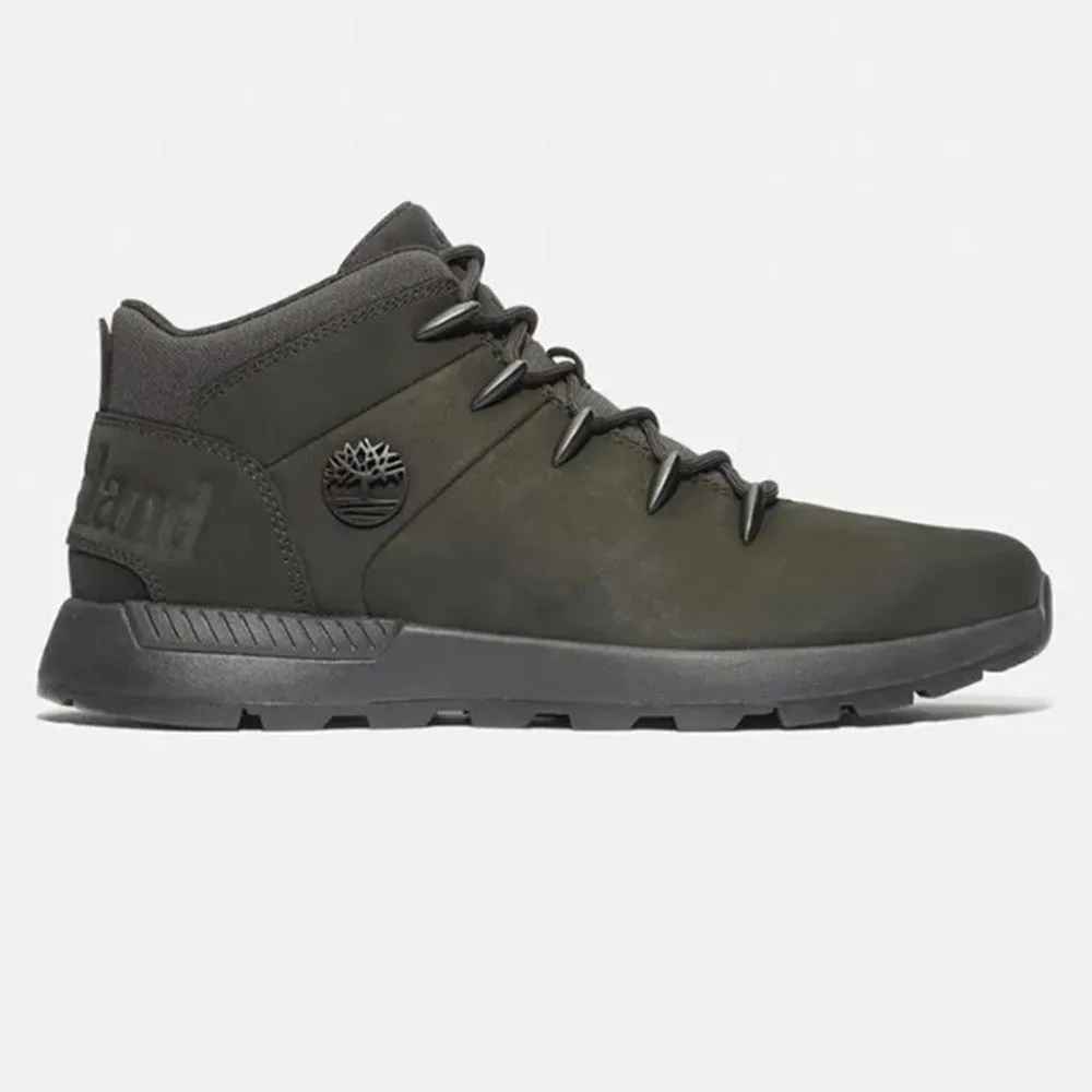 Pamja 2