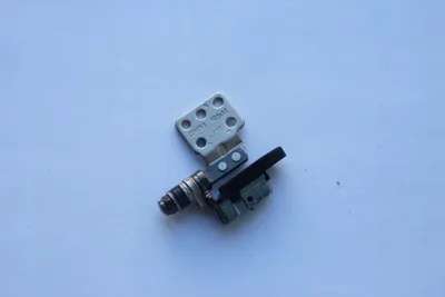 Pamja 1