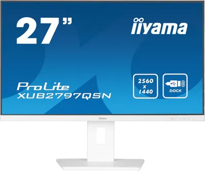 Pamja 1