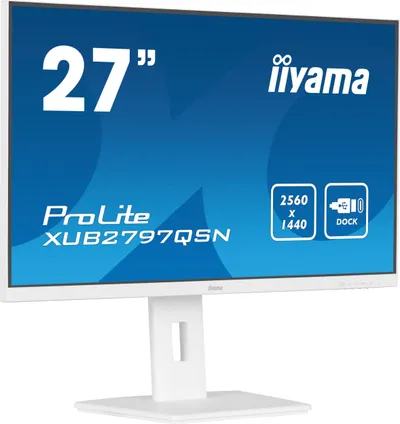 Pamja 3