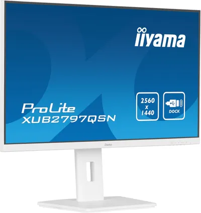 Pamja 4