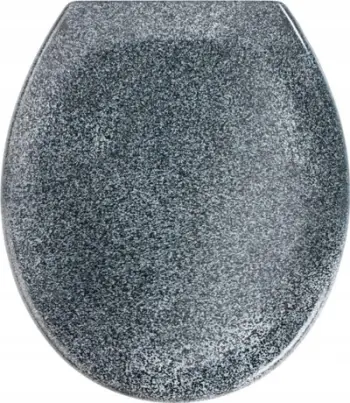 Ulese tualeti Wenko Ottana 18902100, duroplast, soft close, ngjyrë graniti