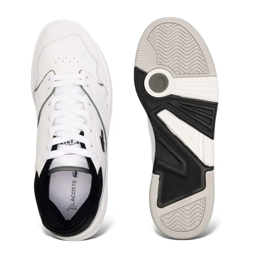 Pamja 6