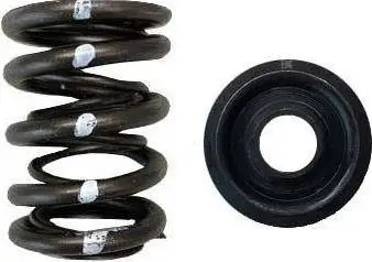 Set susta dhe mbajtëse valvulash Brian Crower BC0010S, Dual Spring Steel Retainer, për Honda Acura B16A B17A B18C