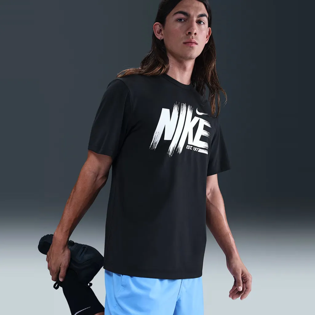 Pamja 2