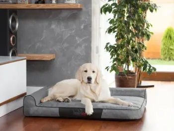 Shtrat për kafshë Hobbydog Bed Best, madhësia XL, eco-leather, gri e errët