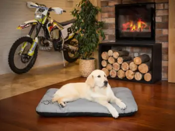 Shtrat për qen Hobbydog Eco Mattress R3, 115x80 cm, i kafe
