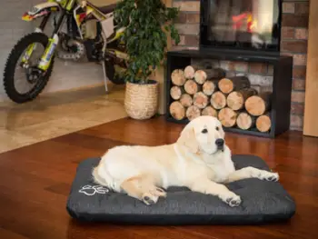 Shtrat për qen Eco Mattress Dog Bed Playpen R2, 100x70cm, i gjelbër