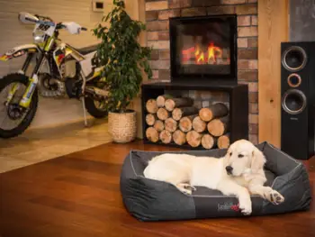Shtrat për qen Hobbydog L Comfort, Ekolen rezistent, i zi