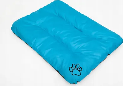 Shtrat për qen Reedog Eco Blue, madhësia L, blu - 5