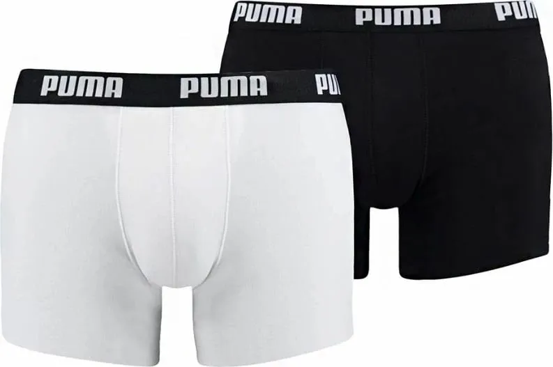 Pamja 1