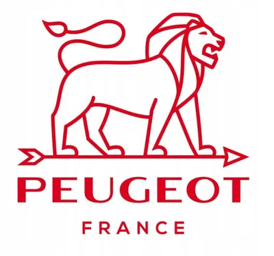 Kapak mulli piperi Peugeot, manual, mat nikel - 4