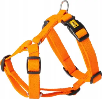 Shtrëngues për qen Dingo Energy Guard 2.0, 38-70cm, portokalli