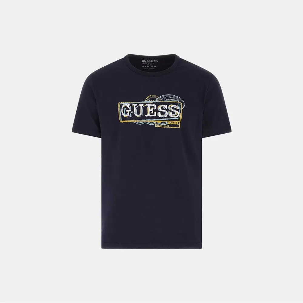 Pamja 10