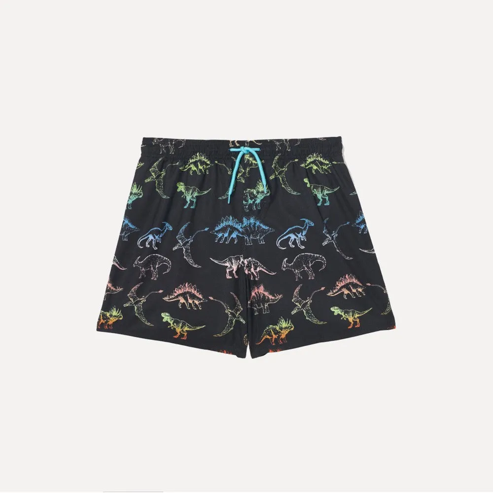 Pamja 2
