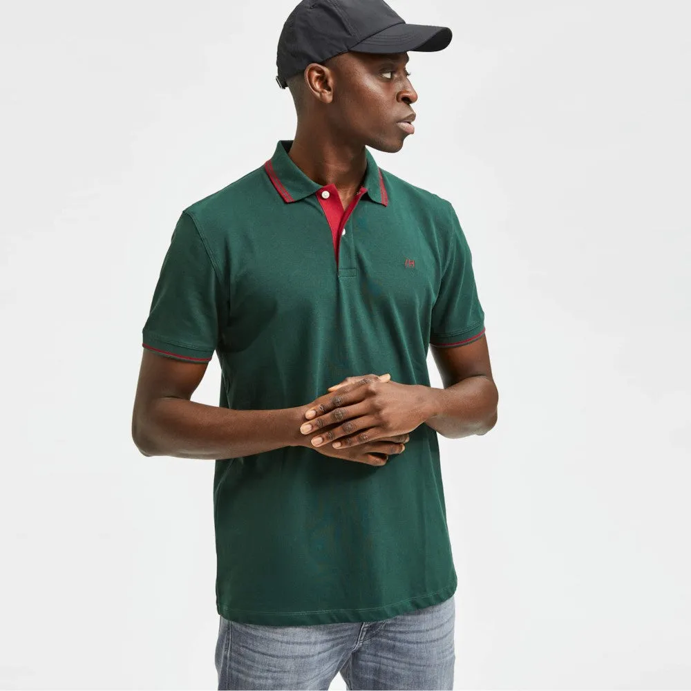 Pamja 8