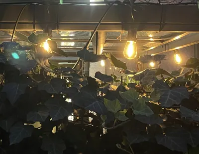Varg dritash LED 15 m, 15xE27, 220 V, i zi - 2