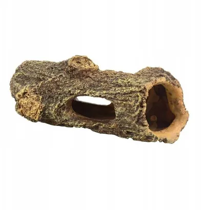 Pamja 1