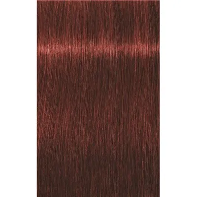 Ngjyrë për flokë Schwarzkopf Igora Royal Apsolute, 6-80, 60 ml - 1