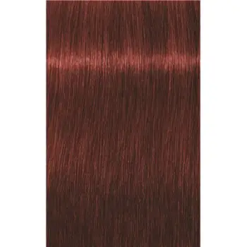 Ngjyrë për flokë Schwarzkopf Igora Royal Apsolute, 6-80, 60 ml