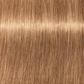 Ngjyrë për flokë Schwarzkopf Igora Royal, Chocolate GOLD 8-65, 60 ml