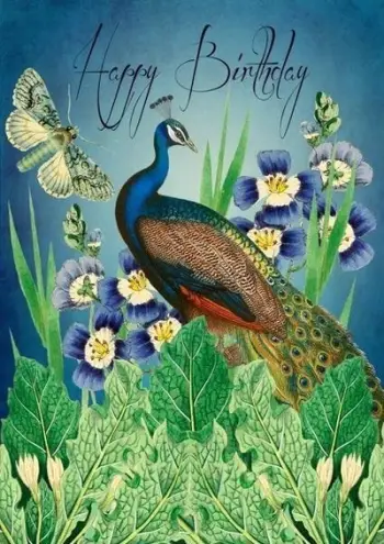 Kartë urimi Madame Treacle B6 Birthday Peacock, me zarf, shumëngjyrëshe