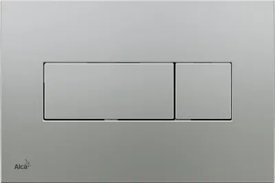 Pamja 1
