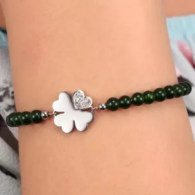 Pamja 6