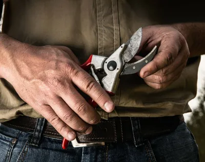 Gërshërë krasitëse Felco 2 Classic, 25 mm, profesionale, e kuqe - 1