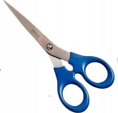 Gërshërë për letër Esselte Paper Scissors, 16cm, set 10 copë, dorezë blu - 1