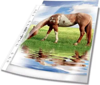 Xhepa plastikë Durable PREMIUM Punched Pocket, A4, set 50 copë, transparentë