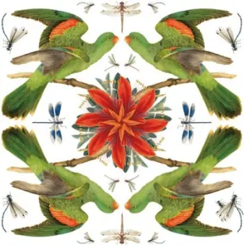 Kartolinë katrore me zarf Museums and Galleries, Red-winged Parrot, pa tekst, shumëngjyrëshe
