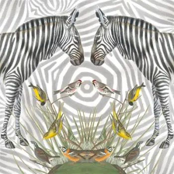 Kartolinë katrore Natural History Museum Zebra, me zarf, shumëngjyrëshe