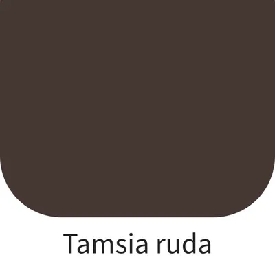 Pamja 2