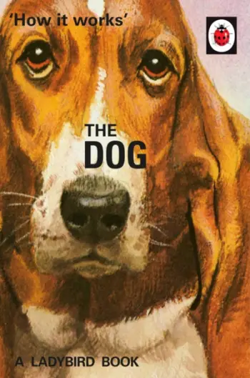 How It Works The Dog - Jason Hazeley Joel Morris