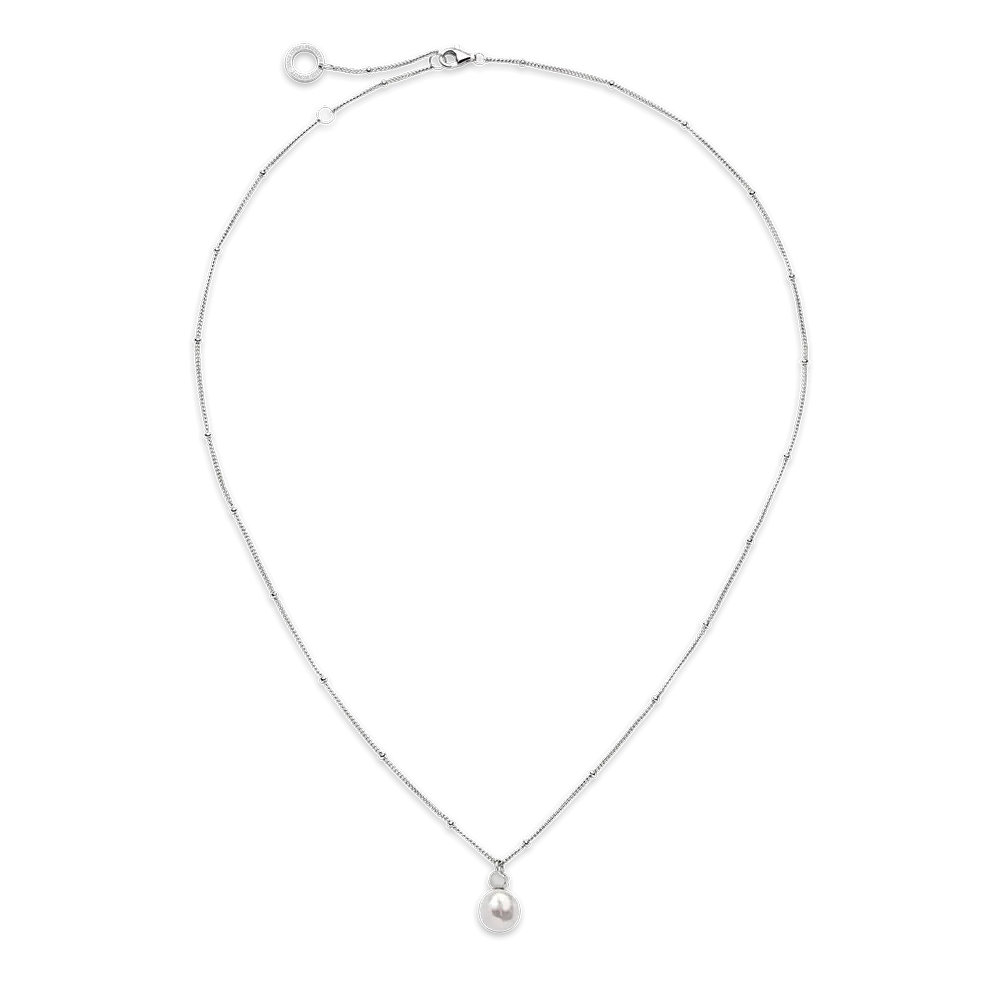 Pamja 1