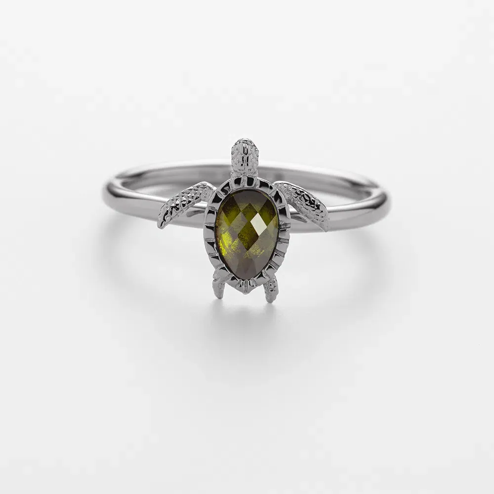 Pamja 3