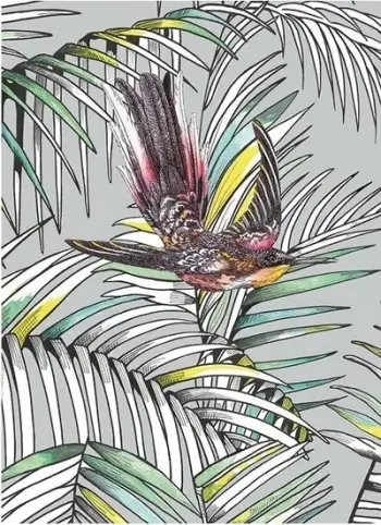 Kartolinë The Art File Sunbird, format B6, me zarf, shumëngjyrëshe