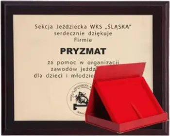 Syze dielli Zoff UNITED ARROWS, kornizë plastike, lente gri, unisex