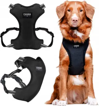 Parzmore për qen Chaba Guard Comfort S, e rregullueshme, reflektuese, e zezë