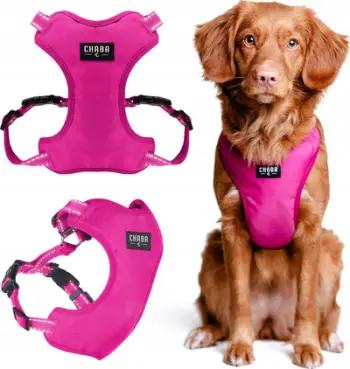 Parzmore për qen Chaba Guard Comfort XL, 2.5cm 64-76cm, fuchsia