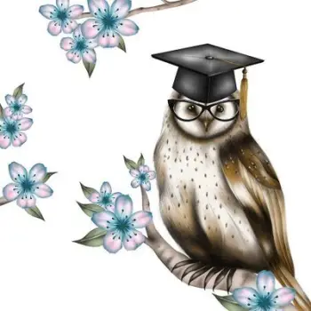 Kartolinë urimi Clear Creations Swarovski Square CL0309_BL Owl, me zarf, dizajn buf