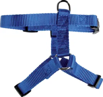 Shapka najloni për qen, e rregullueshme 27 39 cm, 15mm, blu
