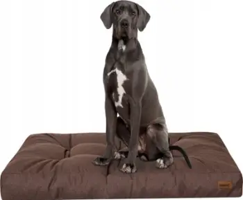 Dyshek për qen Hobbydog Grand Light XXL, i butë, kafe
