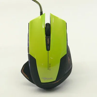 Pamja 1